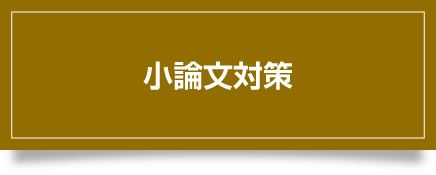 小論文対策